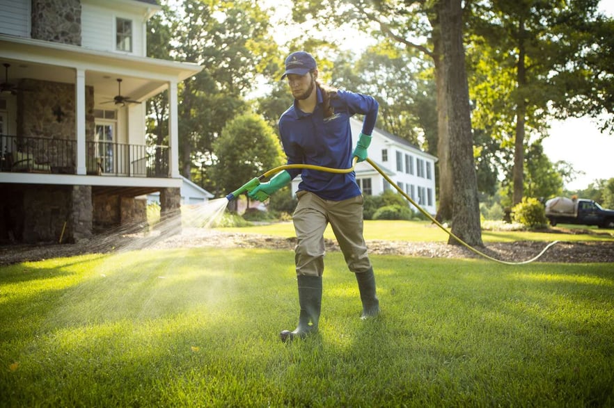 The Best Time to Kill Weeds in Your Lawn in Haymarket, Gainesville, or